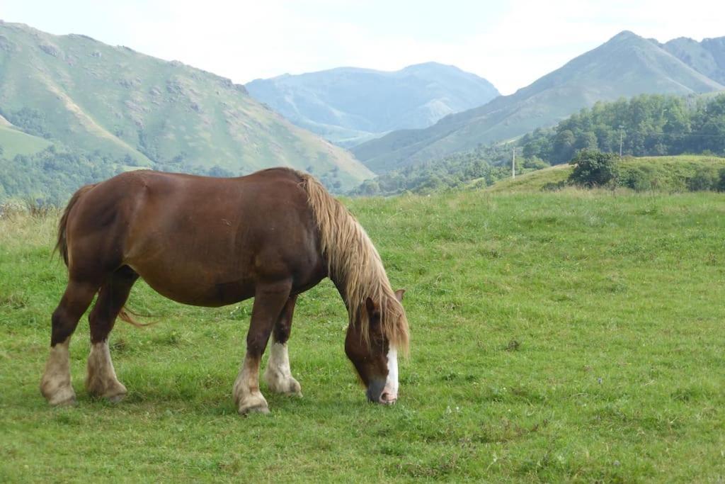 Holiday home Individuel Au Pays Basque A 1,5km De St-jean-pied-de-port *