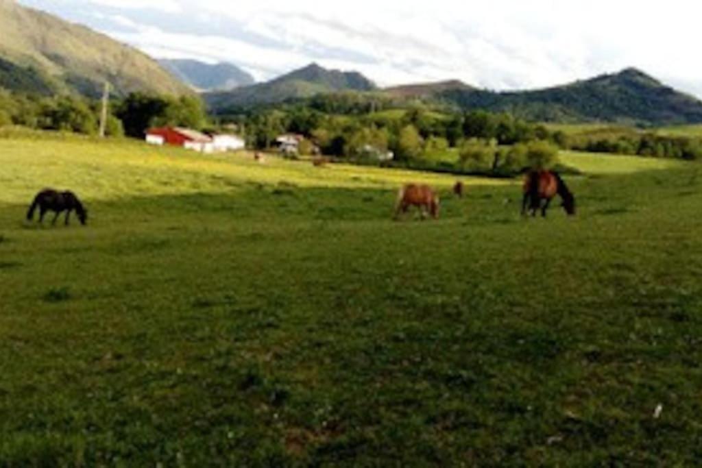 Individuel Au Pays Basque A 1,5km De St-jean-pied-de-port Holiday home *