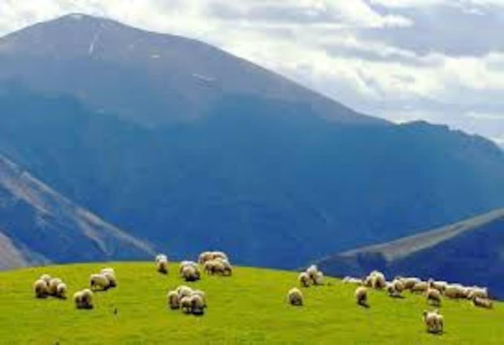 Individuel Au Pays Basque A 1,5km De St-jean-pied-de-port Holiday home